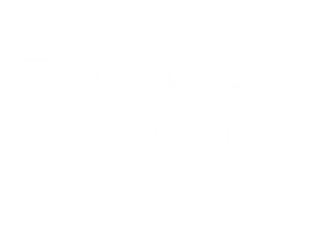 Art Dental Studio